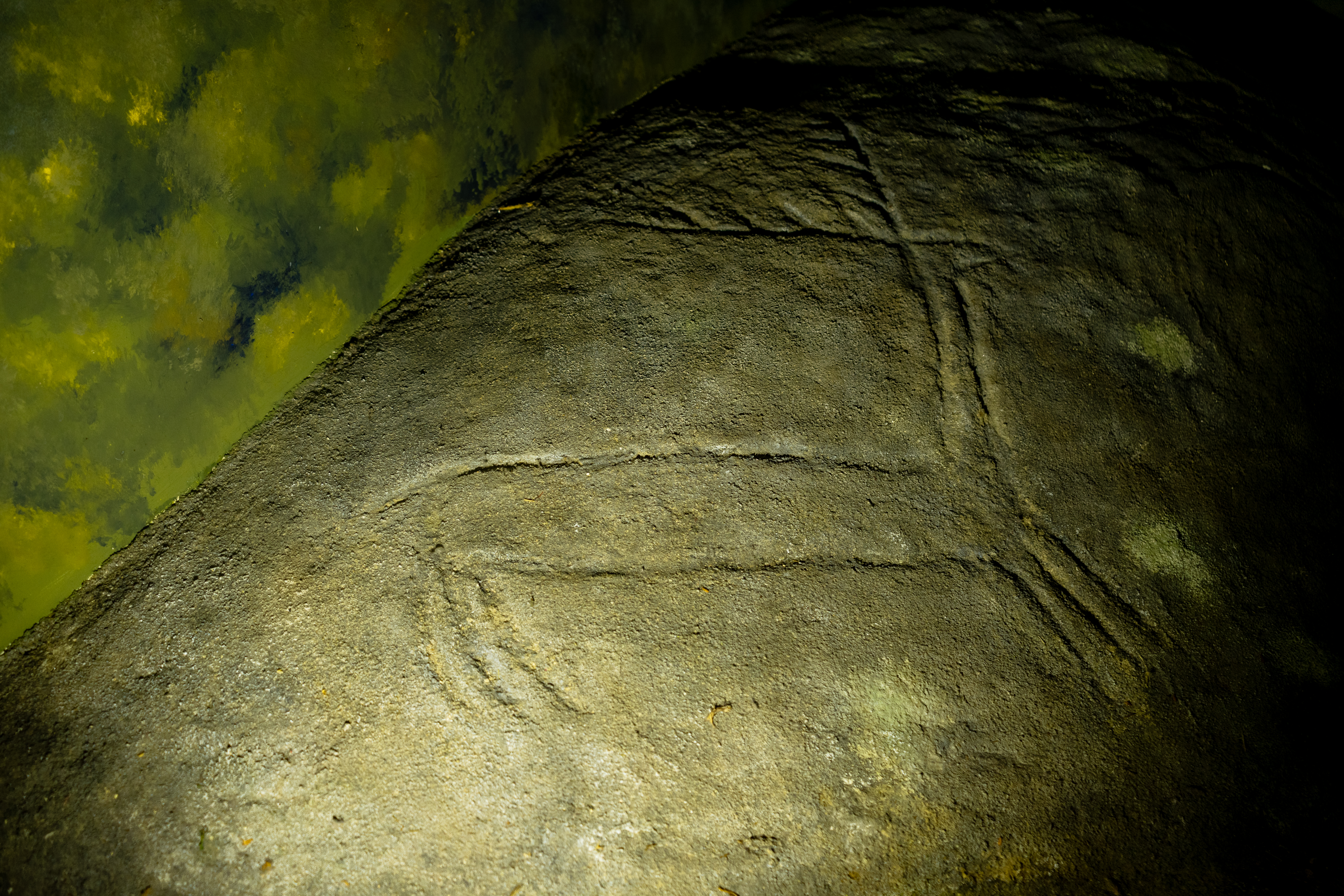 Centro Arqueolóxico do Barbanza