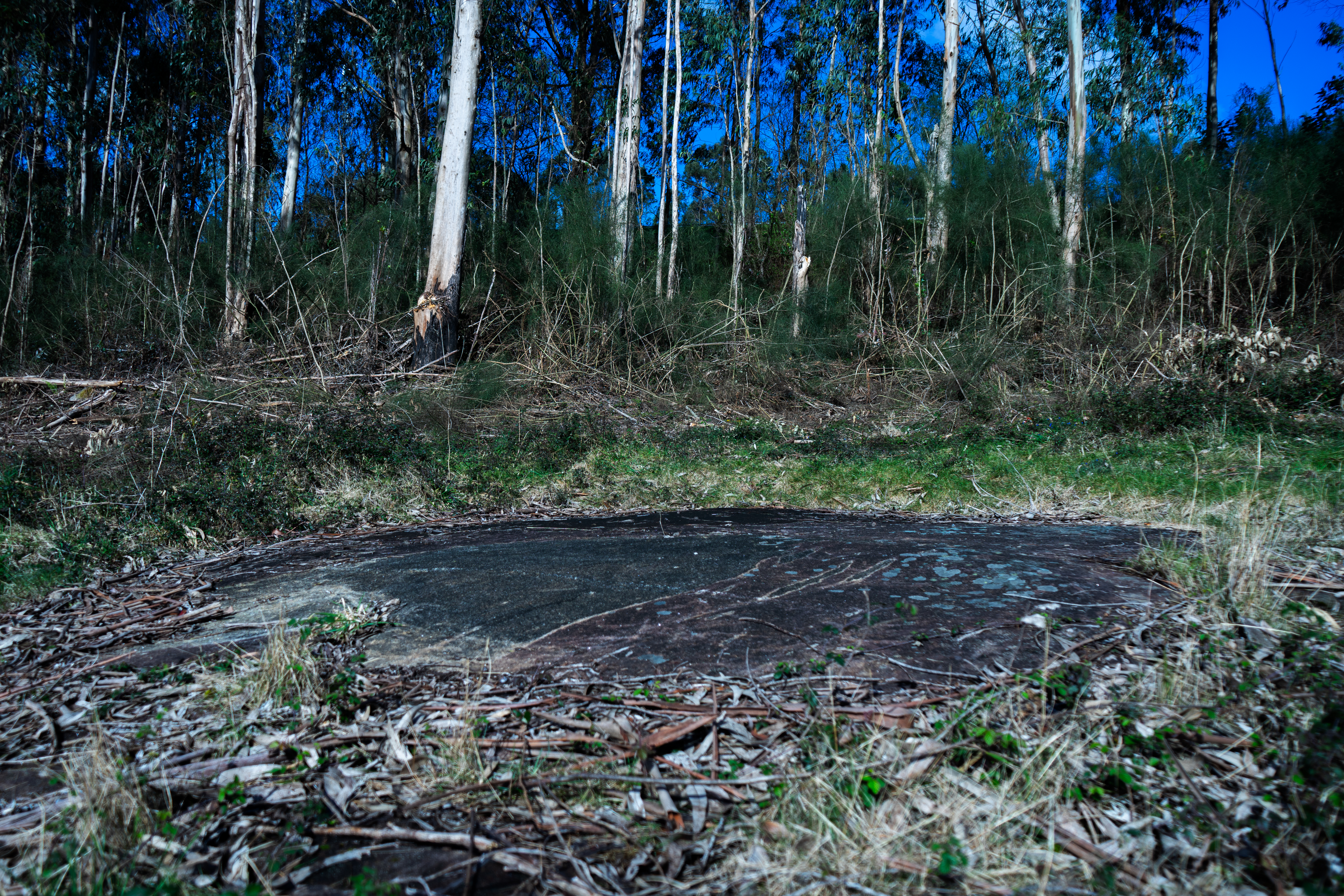 Petróglifos A Foxa Vella